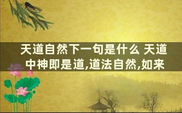 天道自然下一句是什么 天道中神即是道,道法自然,如来